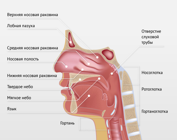 Разновидности болезни