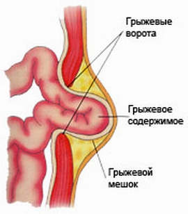 01e0beea496850dc3cdca4b918d3079f