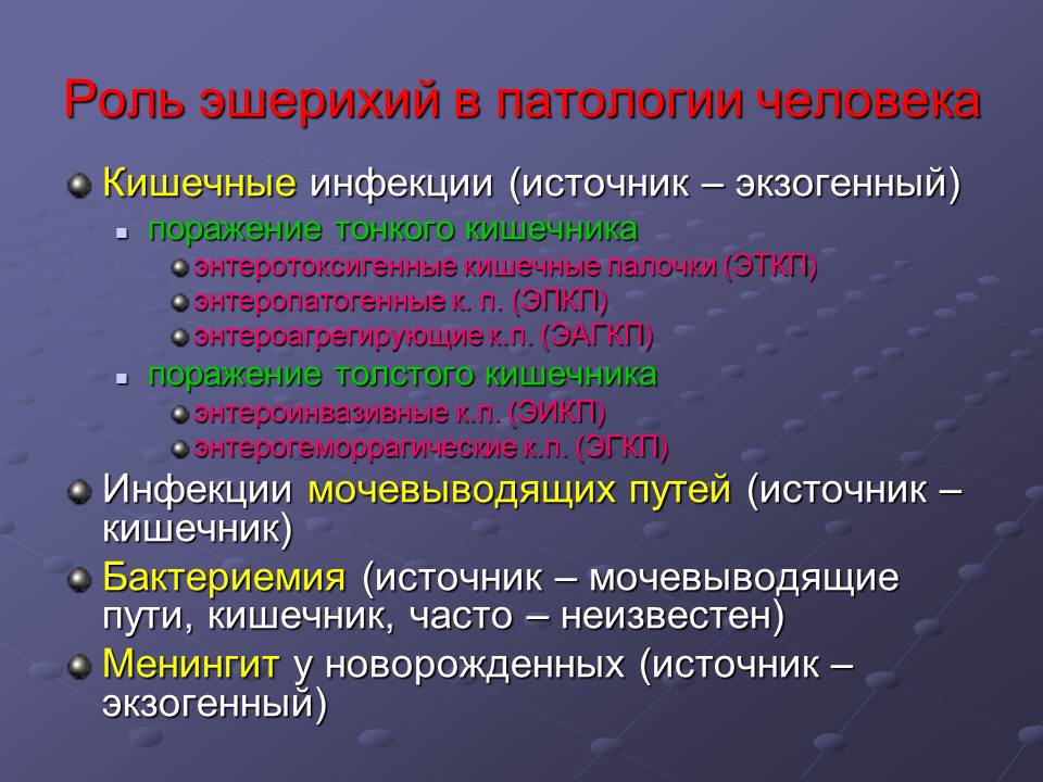 kishecnaya palochka