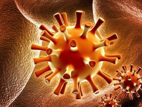 himioterapia