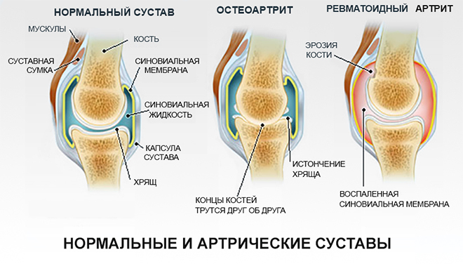 5d828c0aa272992fbb45e9c2d22c7163