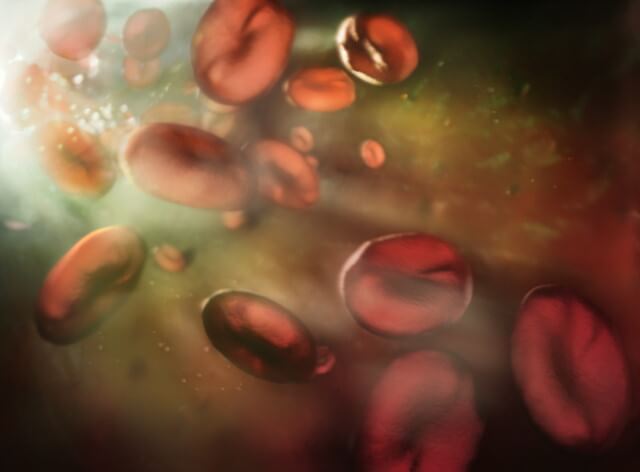 lipody