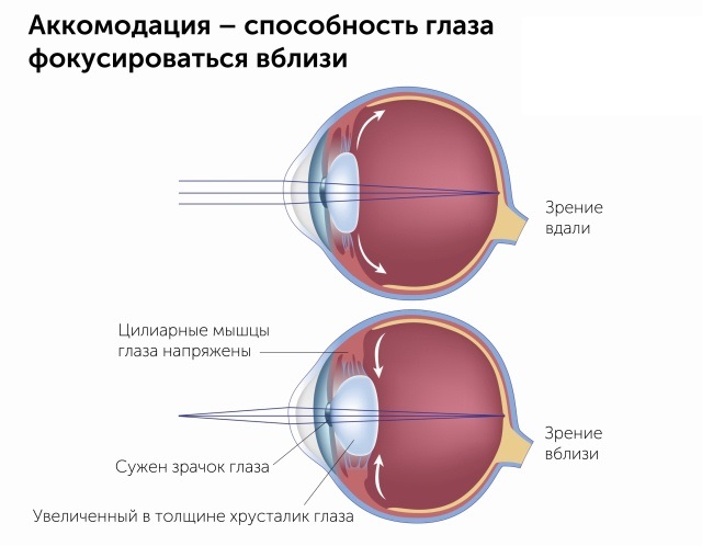 Akomodacija_ru