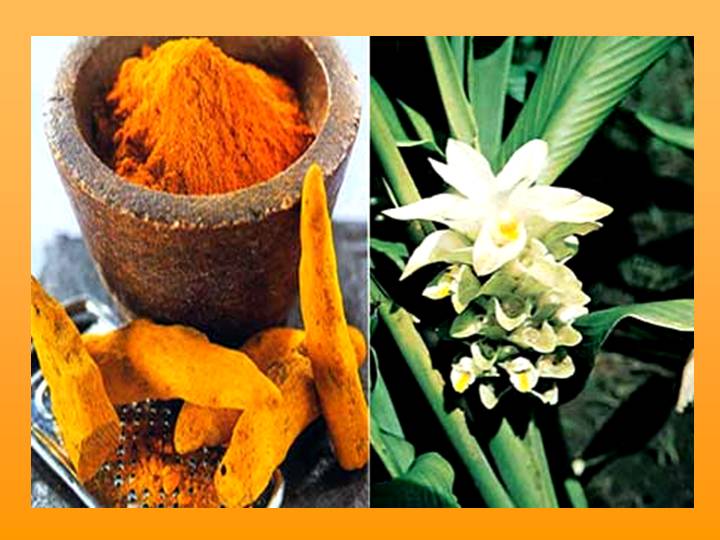 Curcuma 2