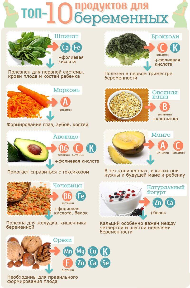 dieta