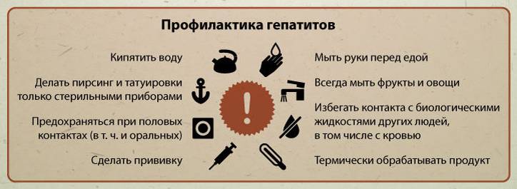 Профилактика вирусного гепатита А