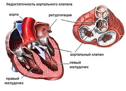 HE8izZbZUc_large