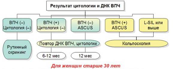 Image 2348