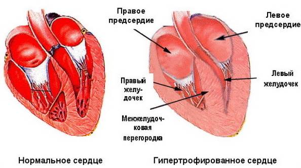 Image 2498