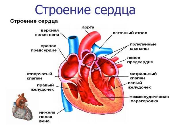 Image 2503