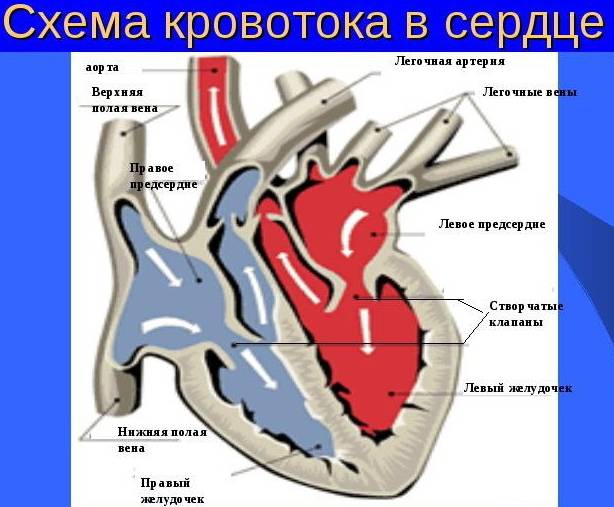 Image 2514