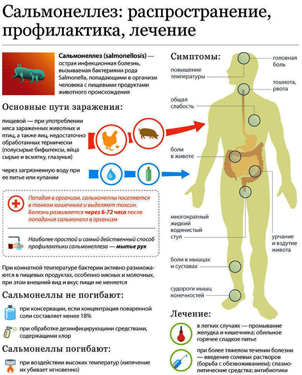 Сальмонеллез