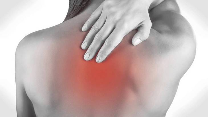 bol-v-spine