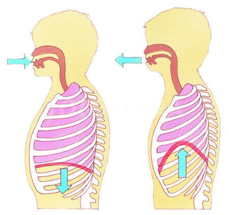 breathing
