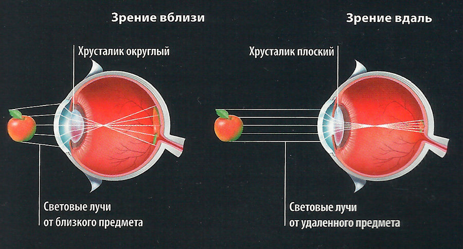 чувства58