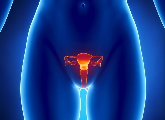 female-reproductive-graphic1