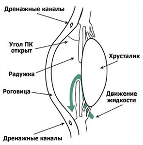 glaukoma.2