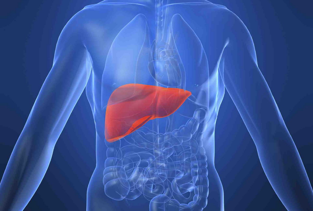 hepatit