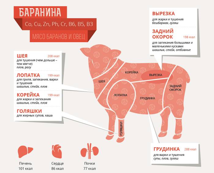 baranina
