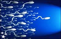 normospermia