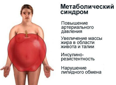 metabolizm
