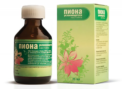 piona-nastojka