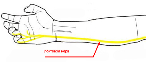 bolit lokot