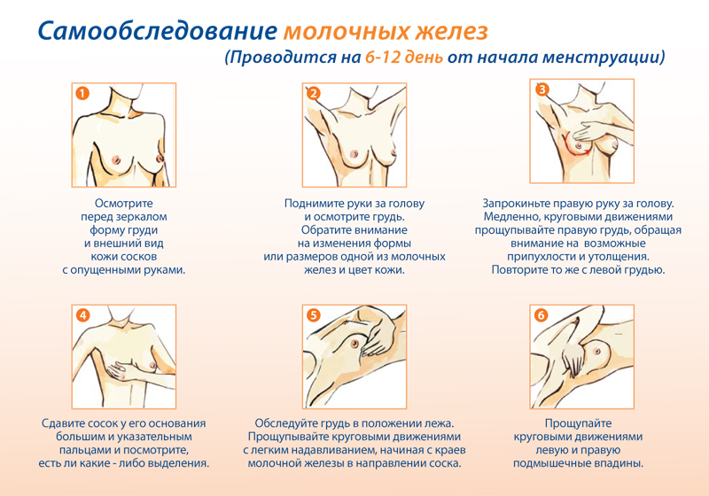 Пальпация груди