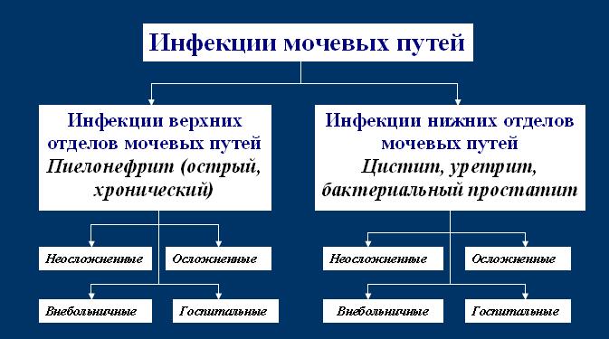 КЛАССИФИКАЦИЯ ИМВП