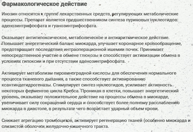 Фармакологическое действие Рибоксина Фармакологическое действие Рибоксина