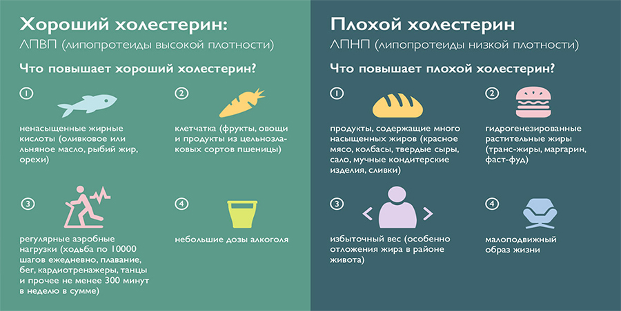 Хороший и плохой холестерин Хороший и плохой холестерин