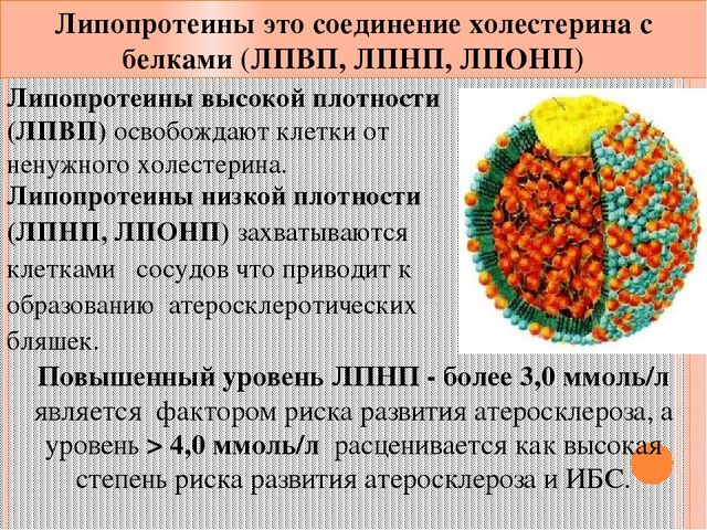 Особенности липопротеинов Особенности липопротеинов
