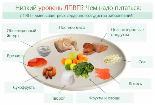 Питание при низком уровне холестерина Питание при низком уровне холестерина