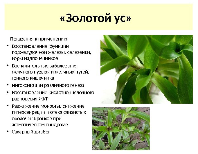 Показания к применению Показания к применению