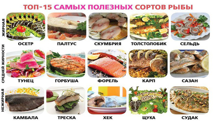 Полезные сорта рыбы Полезные сорта рыбы