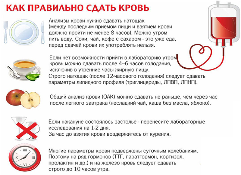 Правила сдачи крови Правила сдачи крови