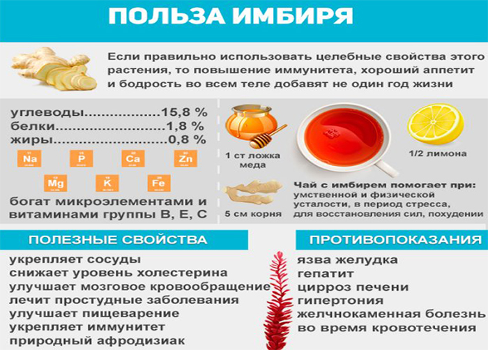 Состав и свойства имбиря Состав и свойства имбиря