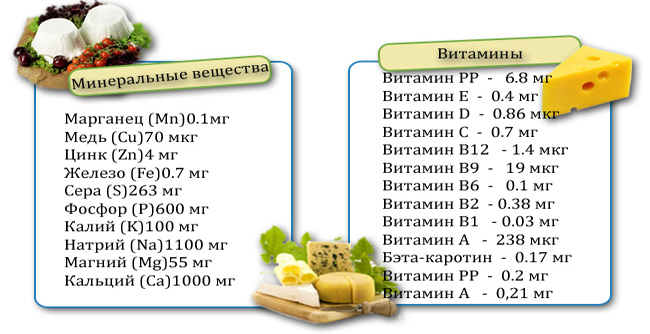 Состав сыра Состав сыра