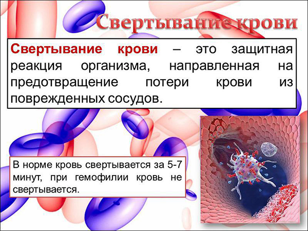 Свертывание крови Свертывание крови