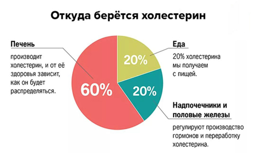Выработка холестерина Выработка холестерина
